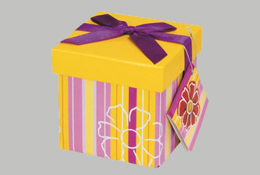 Festive Packaging